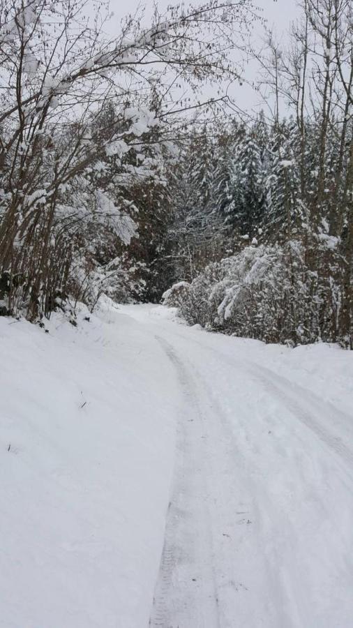 Residence Vallee Des Lacs Le Tholy Zewnętrze zdjęcie