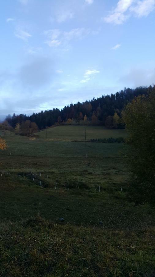 Residence Vallee Des Lacs Le Tholy Zewnętrze zdjęcie
